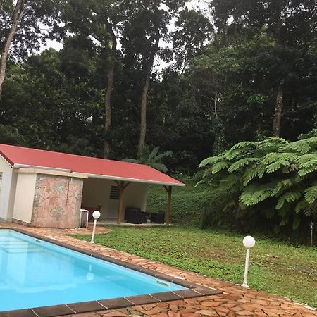 Les Lucioles 1 Beau T2 En Foret Tropicale Avec Acces Piscine Saint-Joseph 外观 照片