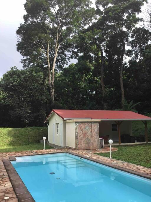 Les Lucioles 1 Beau T2 En Foret Tropicale Avec Acces Piscine Saint-Joseph 外观 照片